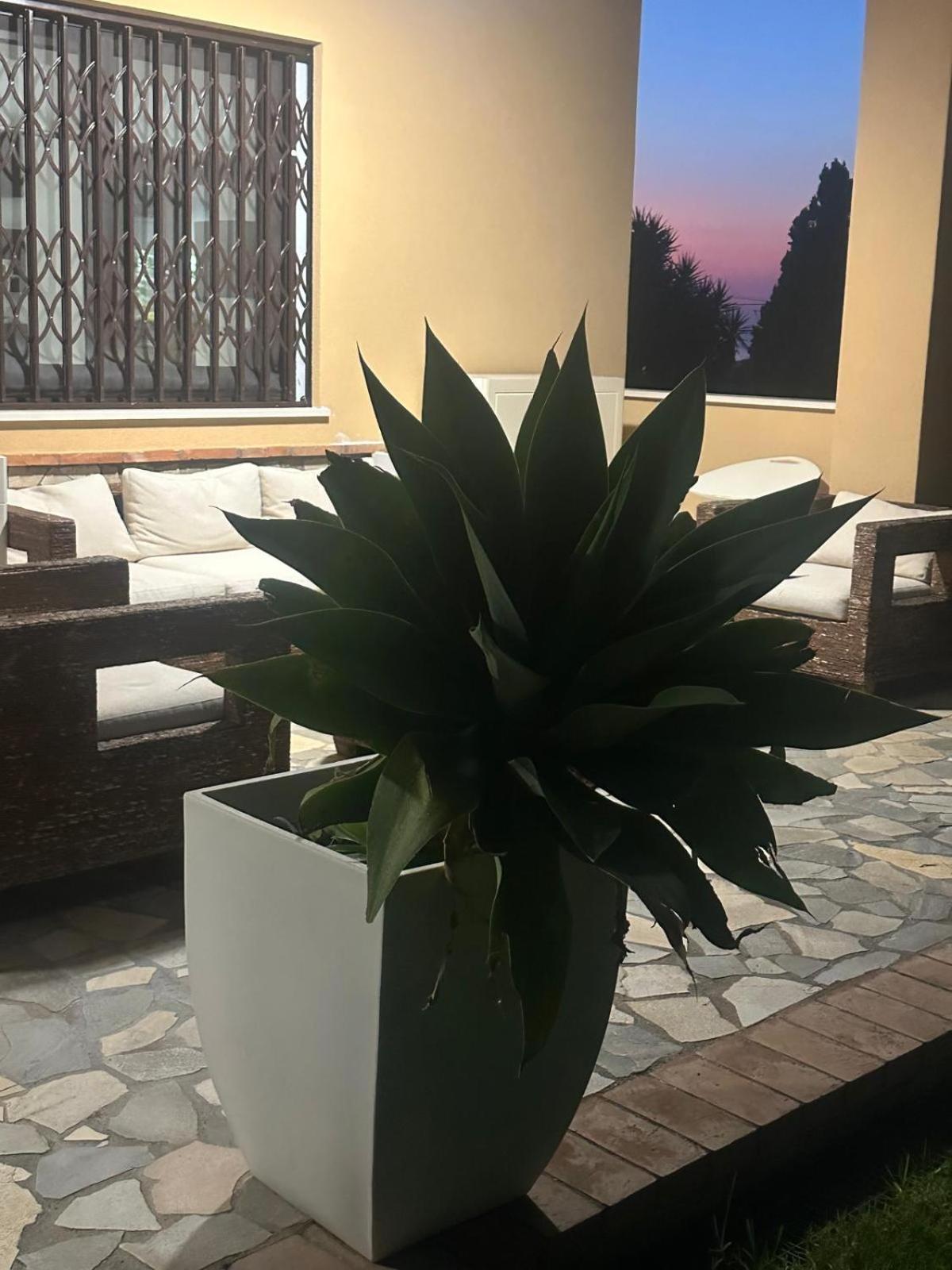 פוסקאלדו B&B Casa Marilu מראה חיצוני תמונה